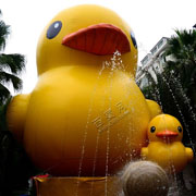duck inflatable